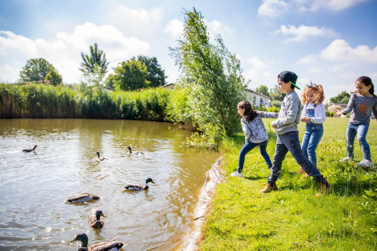 TopParken – Recreatiepark het Esmeer Aalst Buitenkant foto